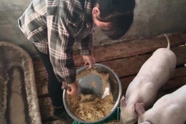 猪饲料的添加剂，主要有以下几种配方