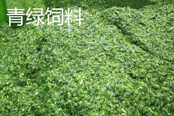 猪饲料的添加剂，主要有以下几种配方