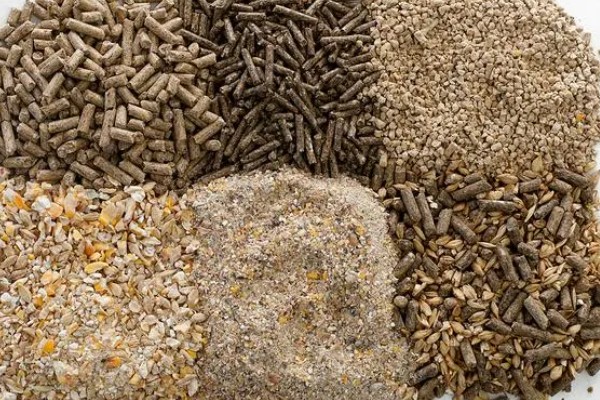 猪饲料的添加剂，主要有以下几种配方