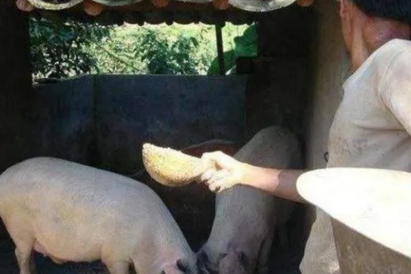 猪饲料的添加剂，主要有以下几种配方