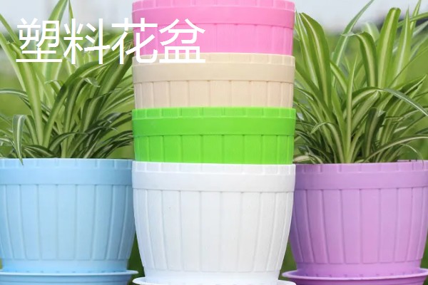常见的花盆种类，有塑料花盆、紫砂盆等