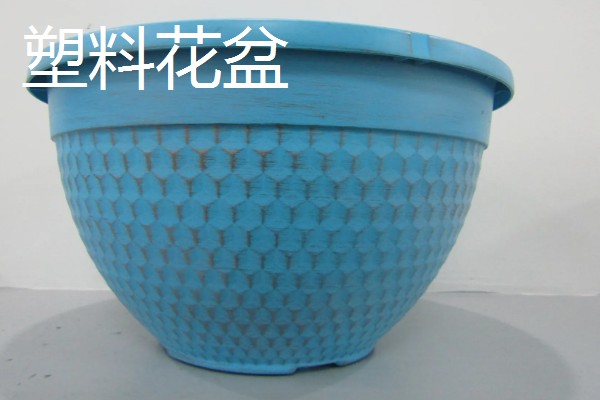 常见的花盆种类，有塑料花盆、紫砂盆等