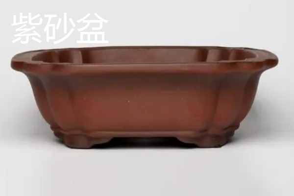 常见的花盆种类，有塑料花盆、紫砂盆等