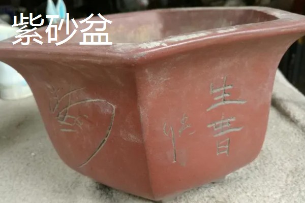 常见的花盆种类，有塑料花盆、紫砂盆等