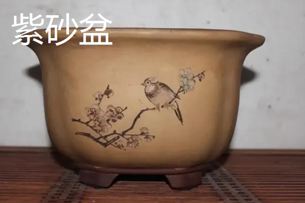 常见的花盆种类，有塑料花盆、紫砂盆等