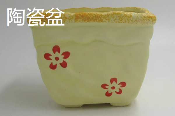 常见的花盆种类，有塑料花盆、紫砂盆等