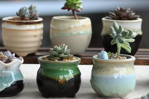 常见的花盆种类，有塑料花盆、紫砂盆等