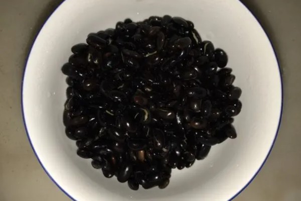 黑豆芽和黑豆苗有什么区别,前者不晒光、后者需要光照