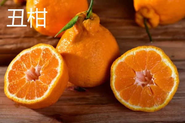 柑橘有哪些品种，红美人、由良蜜橘等品种很常见