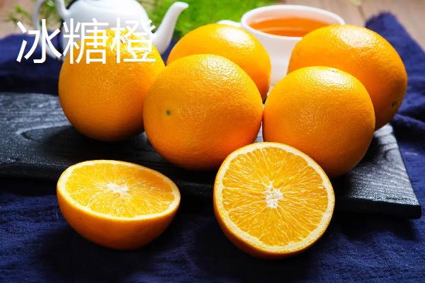 柑橘有哪些品种，红美人、由良蜜橘等品种很常见