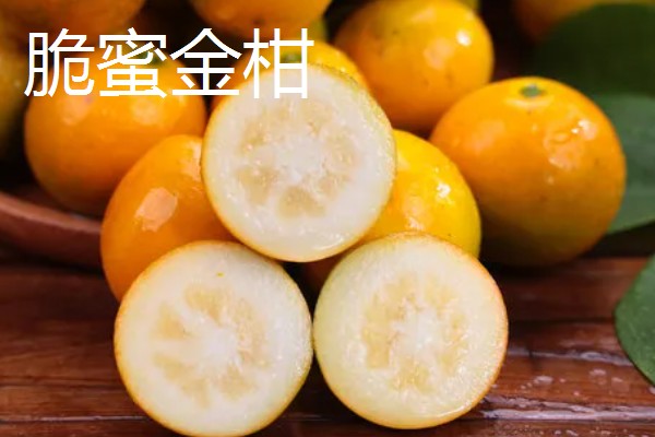 柑橘有哪些品种，红美人、由良蜜橘等品种很常见