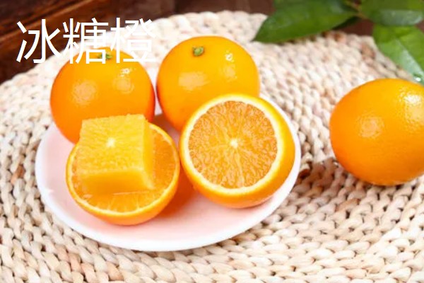 柑橘有哪些品种，红美人、由良蜜橘等品种很常见