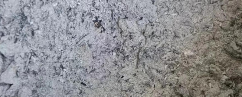 炭灰能做肥料吗，是可以做肥料的