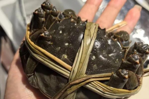 大闸蟹的价格,2两的母蟹批发价为26元一斤