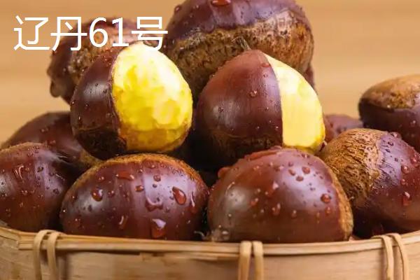 北方板栗品种,有燕山早丰、燕山板栗等