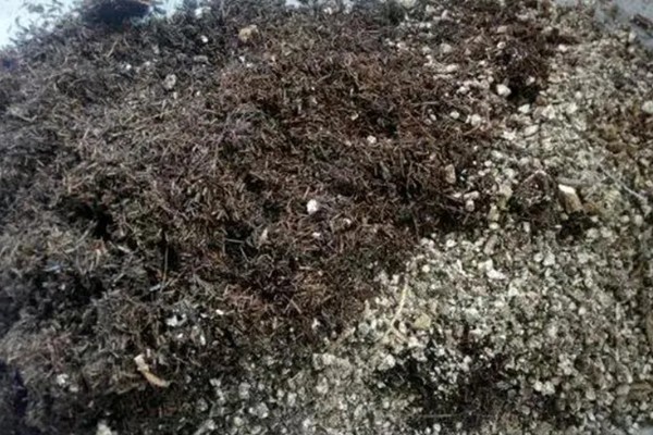 中药渣能不能用来养花,经过发酵后可拌入花土中作为肥料