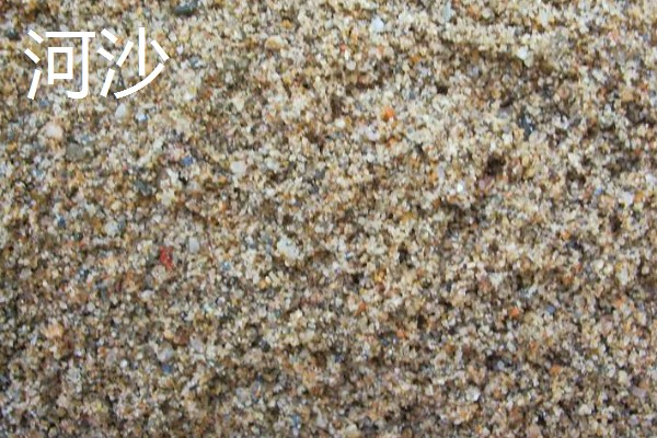 适合放客厅的大型盆栽，有金钱兜、散尾葵等