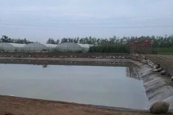 田螺怎么养殖，选择水源充足的地方建池塘