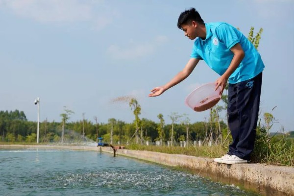 田螺怎么养殖，选择水源充足的地方建池塘