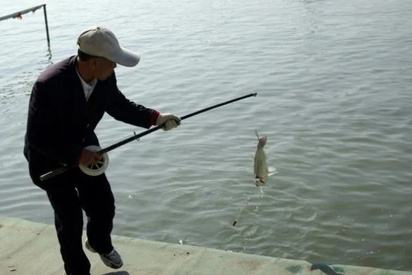 气温25℃钓鱼深度，钓1-2米深比较合适