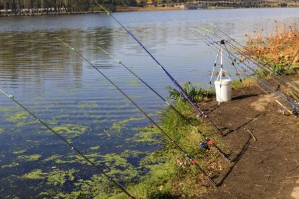 气温25℃钓鱼深度，钓1-2米深比较合适