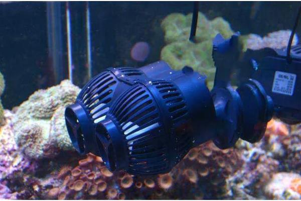 造浪泵一直开着好吗，一直开着不好