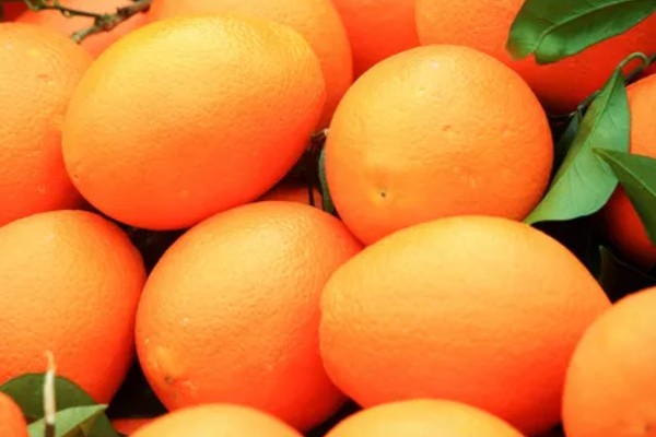 脐橙购买时怎么挑选，可以看表皮、颜色等