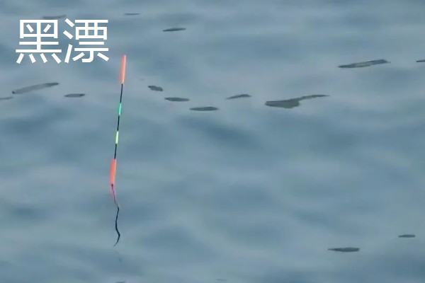 鱼漂种类划分，常见立式漂、卧式漂、球形漂、七星漂