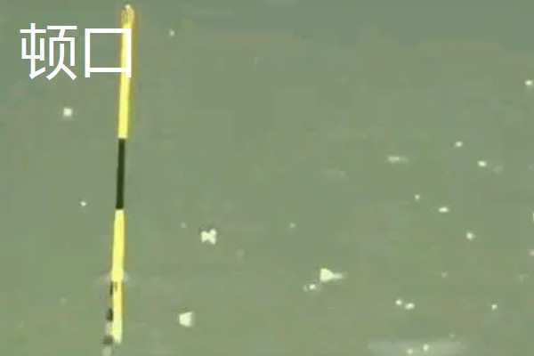 鱼漂种类划分，常见立式漂、卧式漂、球形漂、七星漂