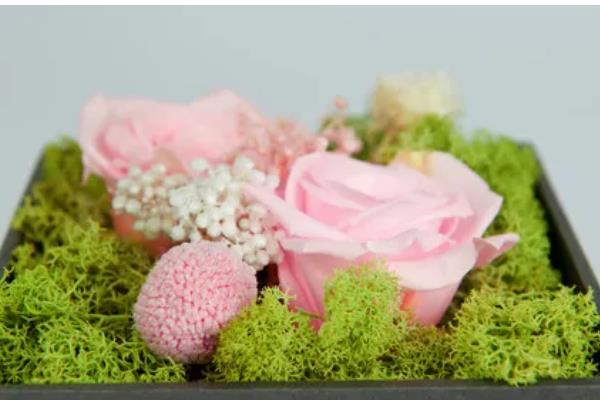 永生花会不会枯萎，永生花不会枯萎