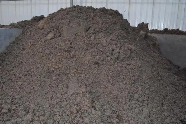 怎么避免食用菌出现虫害，安装细纱网可防止成虫入室