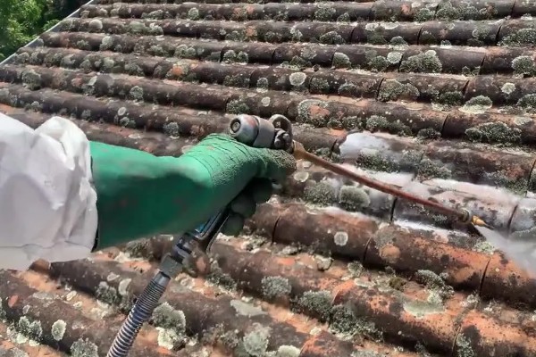 怎么避免食用菌出现虫害，安装细纱网可防止成虫入室