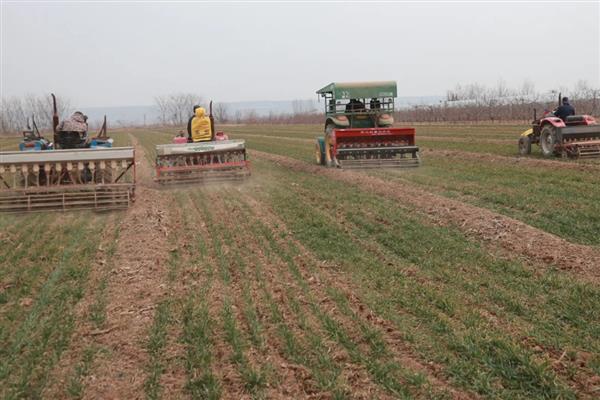 小麦田间施肥料的主要措施，应实行粗、细结合