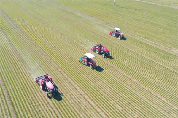 小麦田间施肥料的主要措施，应实行粗、细结合