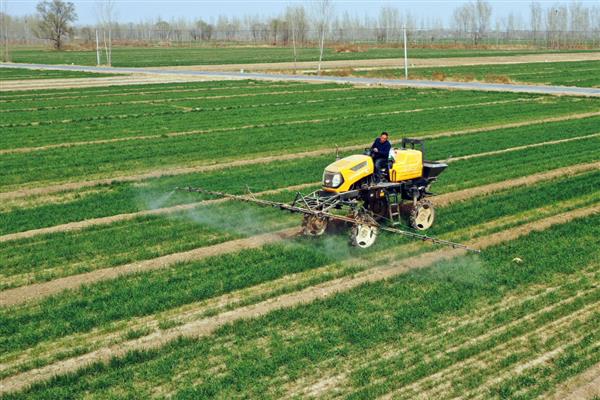 小麦田间施肥料的主要措施，应实行粗、细结合