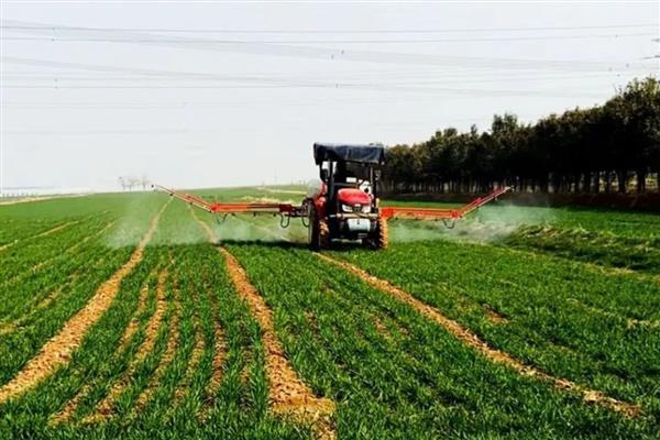 小麦田间施肥料的主要措施，应实行粗、细结合