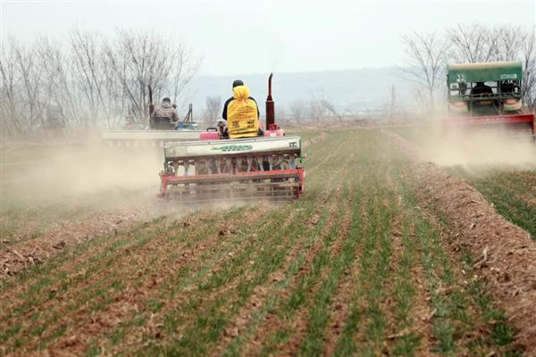 小麦田间施肥料的主要措施，应实行粗、细结合