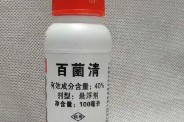 百菌清有什么作用，可以防治瓜类霜霉病、白粉病等病害