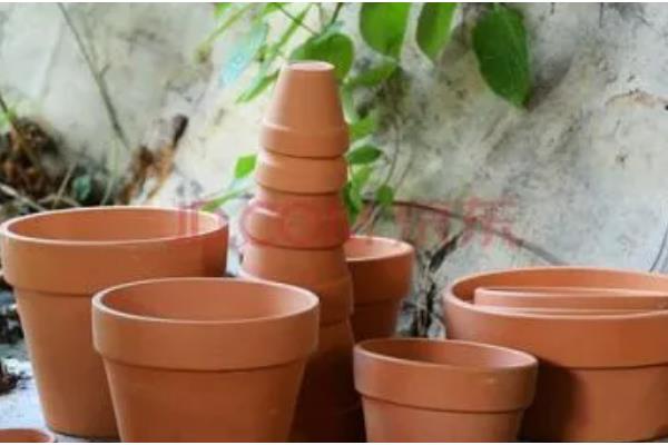 临水式盆景的制作要点，选择比较深的圆形盆或六角形盆