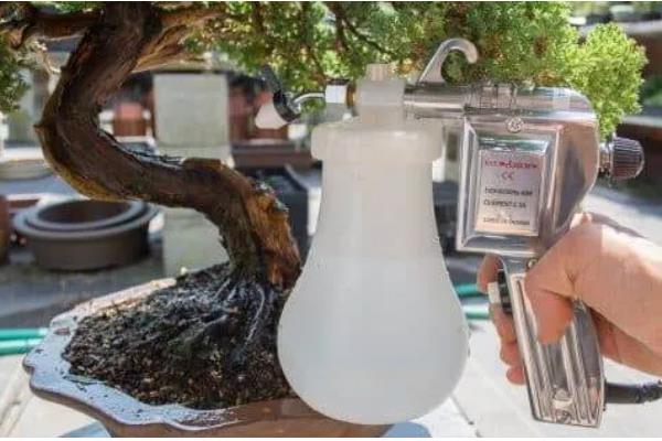 临水式盆景的制作要点，选择比较深的圆形盆或六角形盆