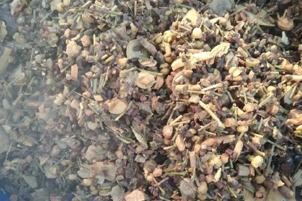 长寿花肥料怎么自制，经过发酵的黄豆和淘米水可作为肥料