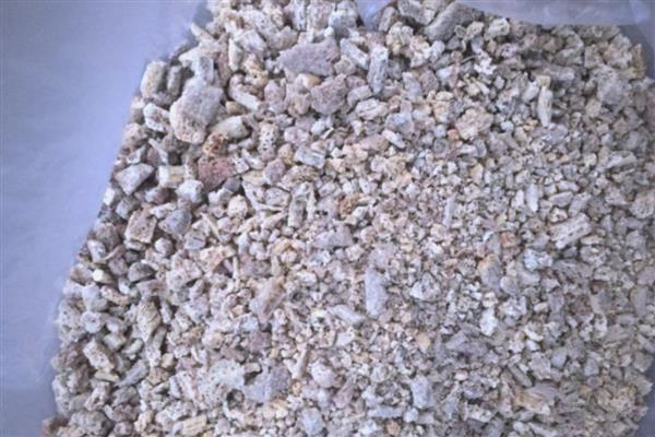 长寿花肥料怎么自制，经过发酵的黄豆和淘米水可作为肥料