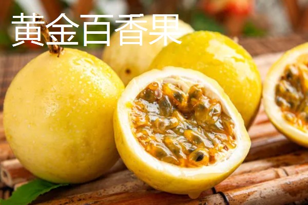 哪些水果很受欢迎，常见黄金百香果、软枣猕猴桃等品种