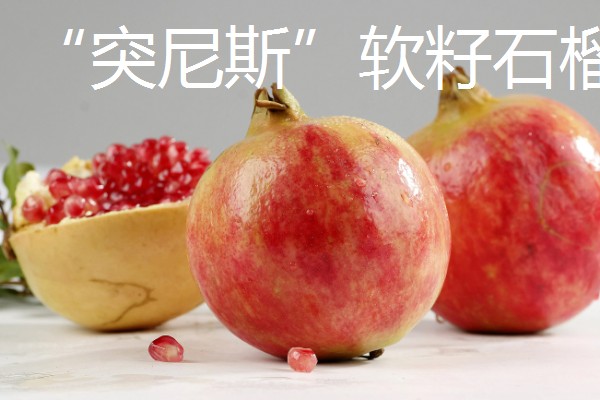 哪些水果很受欢迎，常见黄金百香果、软枣猕猴桃等品种