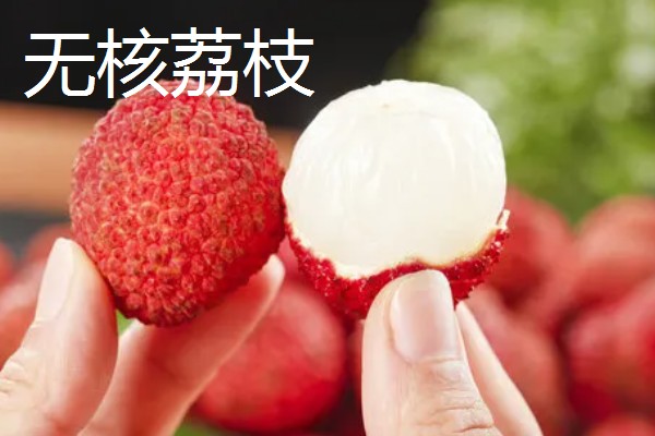 哪些水果很受欢迎，常见黄金百香果、软枣猕猴桃等品种