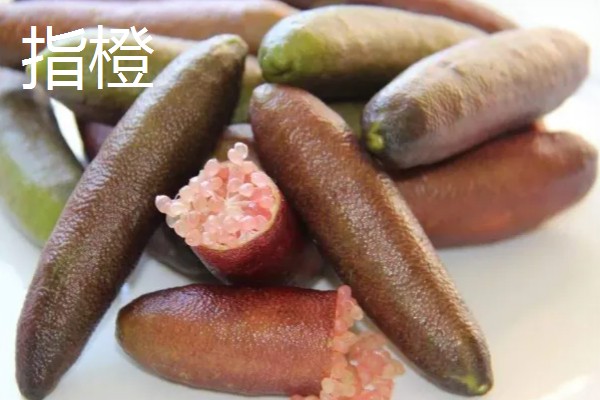 哪些水果很受欢迎，常见黄金百香果、软枣猕猴桃等品种