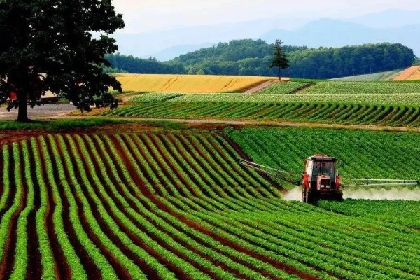 农业有什么地位，属于第一产业是国民经济的基础