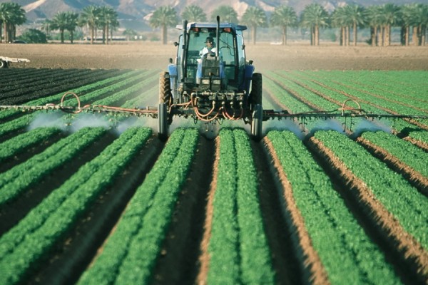 农业有什么地位，属于第一产业是国民经济的基础