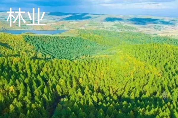 农业有什么地位，属于第一产业是国民经济的基础