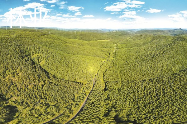 农业有什么地位，属于第一产业是国民经济的基础